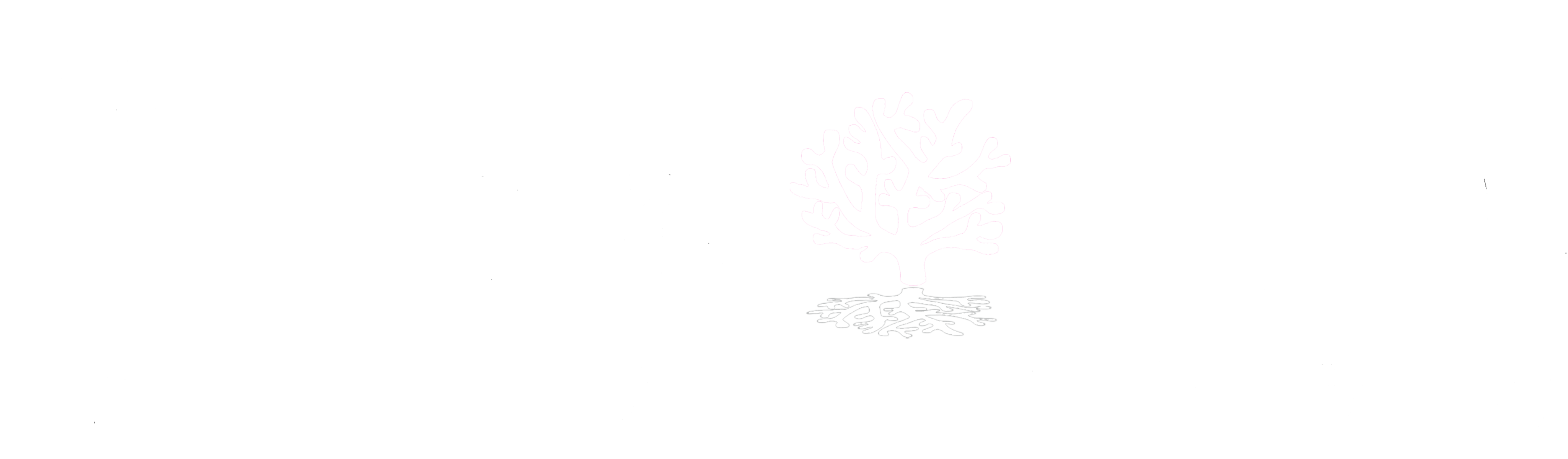 接骨院 うみの木ククル 動きと痛みの相談所